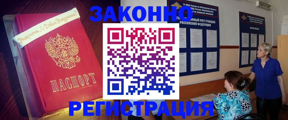 прописка поиск в Камышине